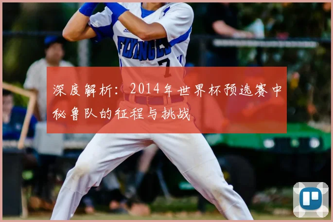深度解析：2014年世界杯预选赛中秘鲁队的征程与挑战