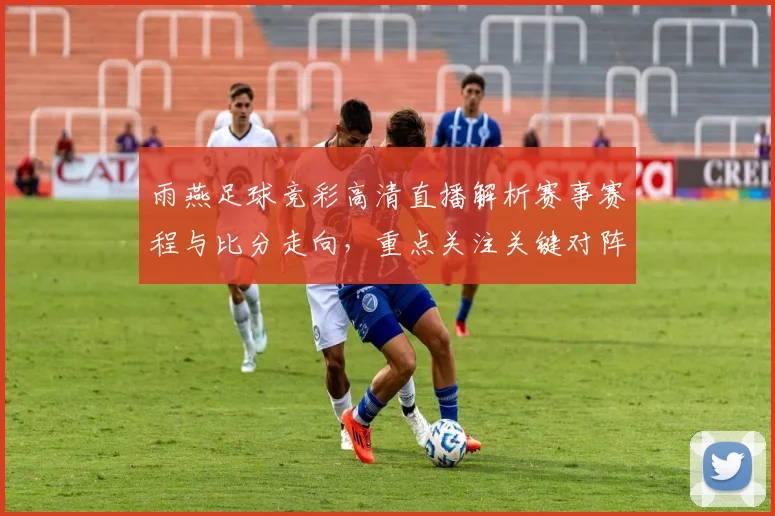 雨燕足球竞彩高清直播解析赛事赛程与比分走向，重点关注关键对阵和赔率变化