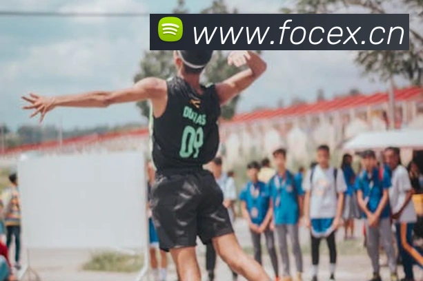 App Interface Preview